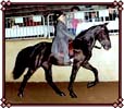 Horses for Sale.