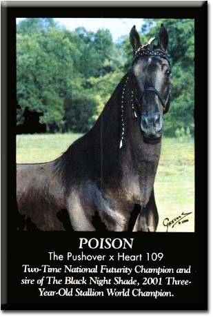 Poison