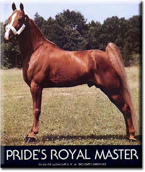 Pride's Royal Master